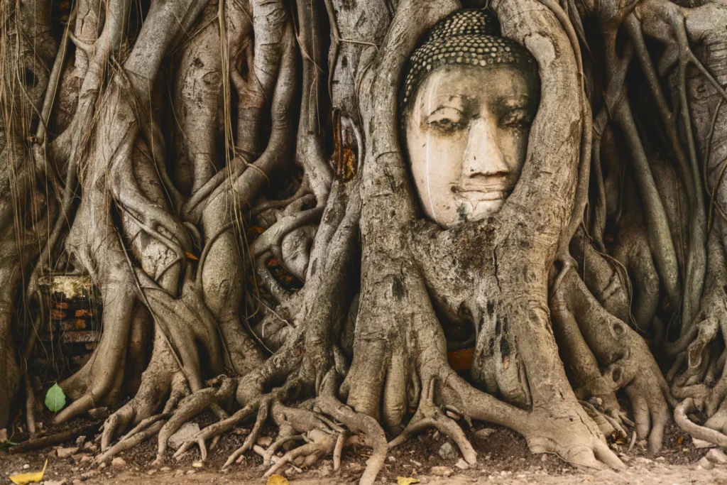 Buddha Head in Tree Roots is one of the Best Thailand Attractions​
